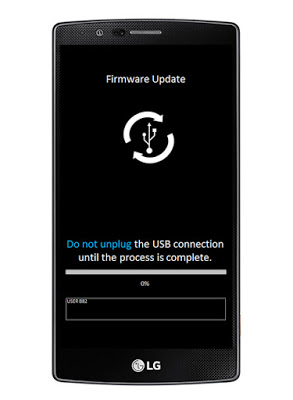 lg secret update firmware